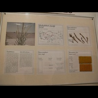 P1010465