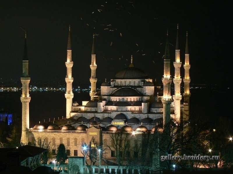 P1010563