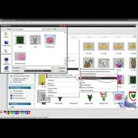 Обучение. Программа Wilcom