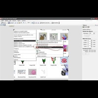 Обучение. Программа Wilcom