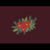 Poinsettia-a