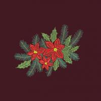 Poinsettia-a