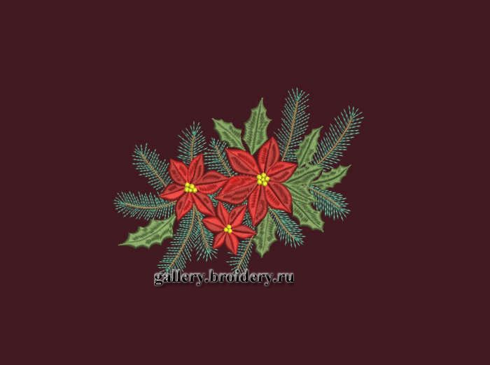 Poinsettia-a