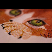 Машинная вышивка. Wilcom