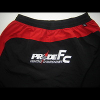 PrideFC-1sm