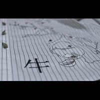 Машинная вышивка. Janome MC 200E