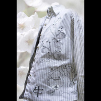 Машинная вышивка. Janome MC 200E