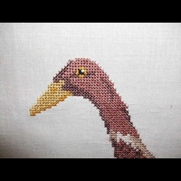 "Одинокая утка"