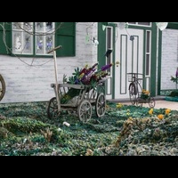 Трава у дома. Квилт. Фестиваль в Токио. 