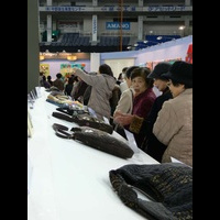 Сумки из кусочков ткани. Лоскутное шитье. Фестиваль квилта в Токио