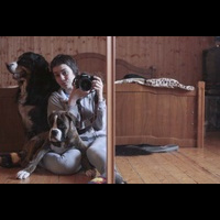 Мои животные