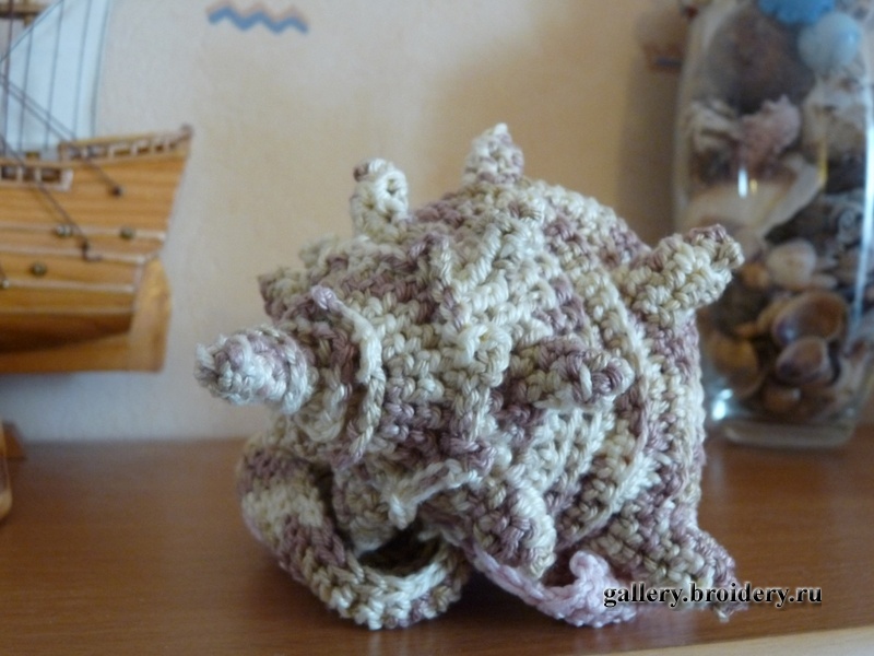 Ракушка Cypraecassis rufa