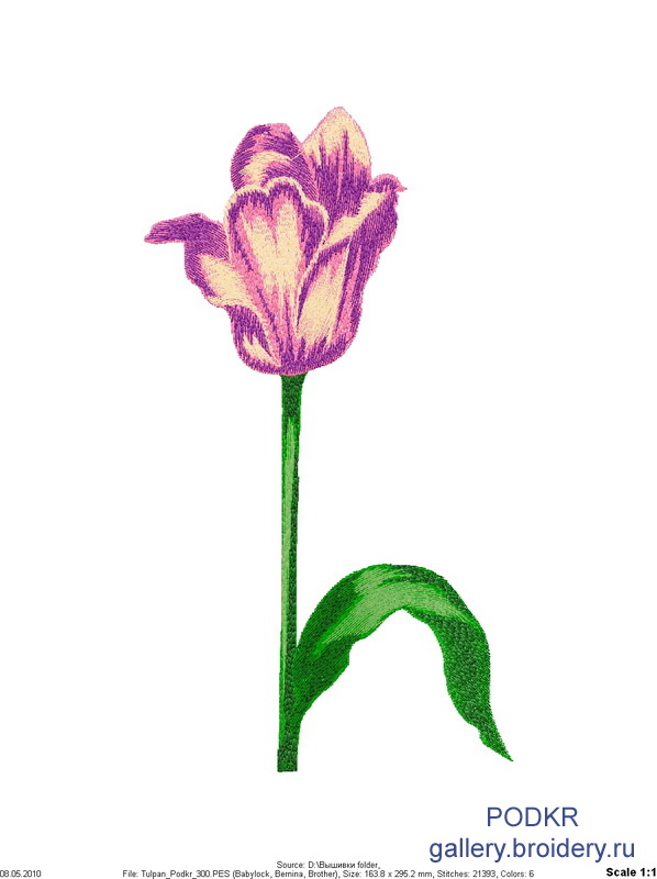 Tulpan_Podkr