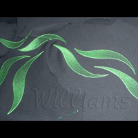 W091c