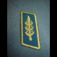 Погоны