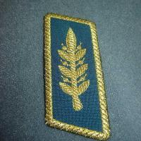 Погоны