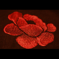 Машинная вышивка. Роза. Проект Сумка. Тест на Janome 200E