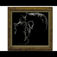 Çíàêîìñòâî