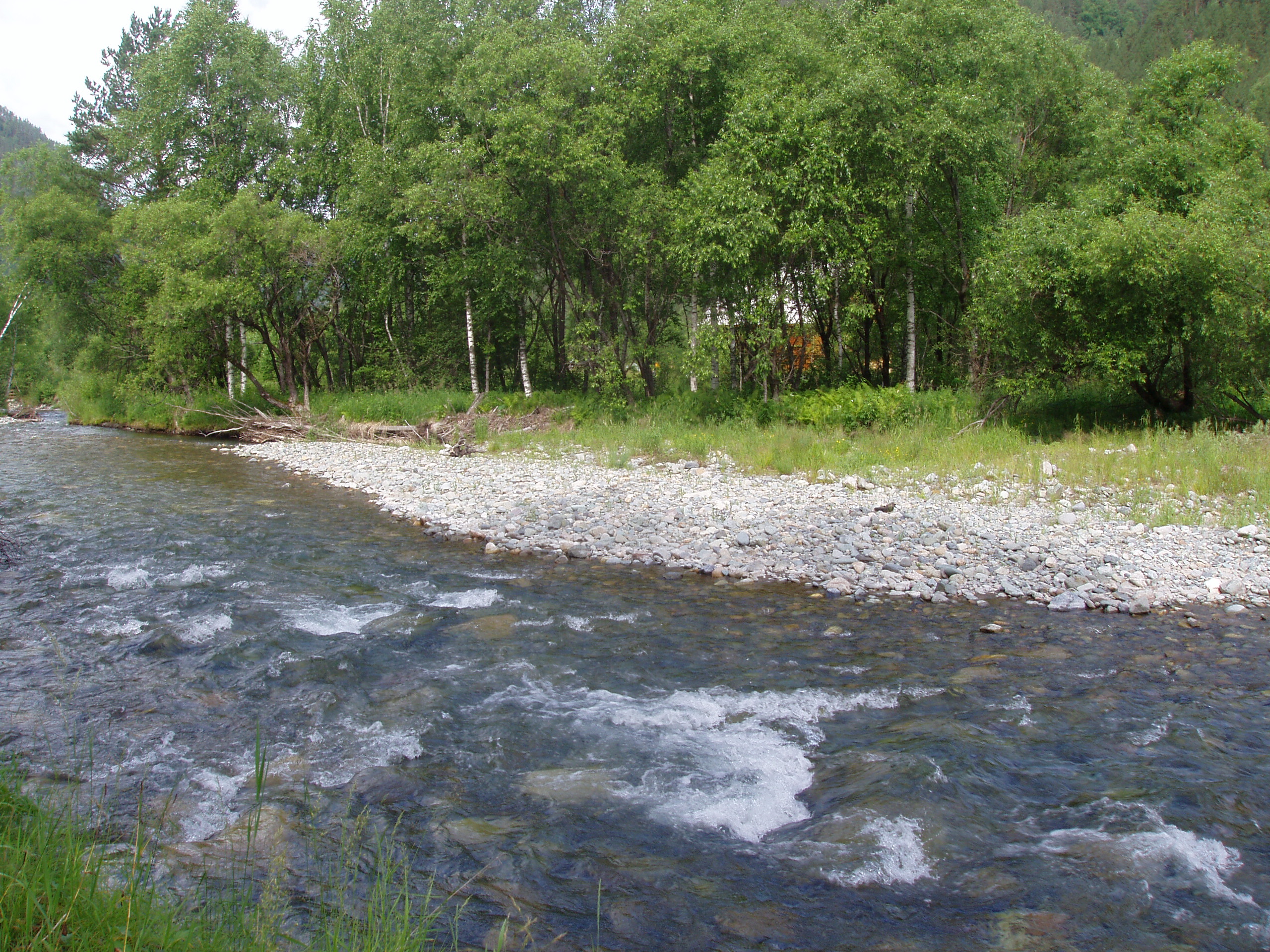 P1017661