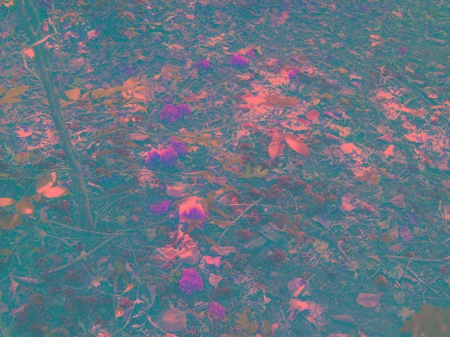 P9244894.JPG