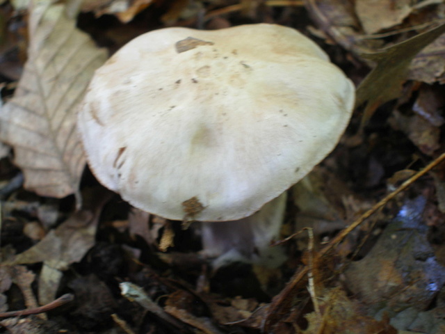 P9244898.JPG