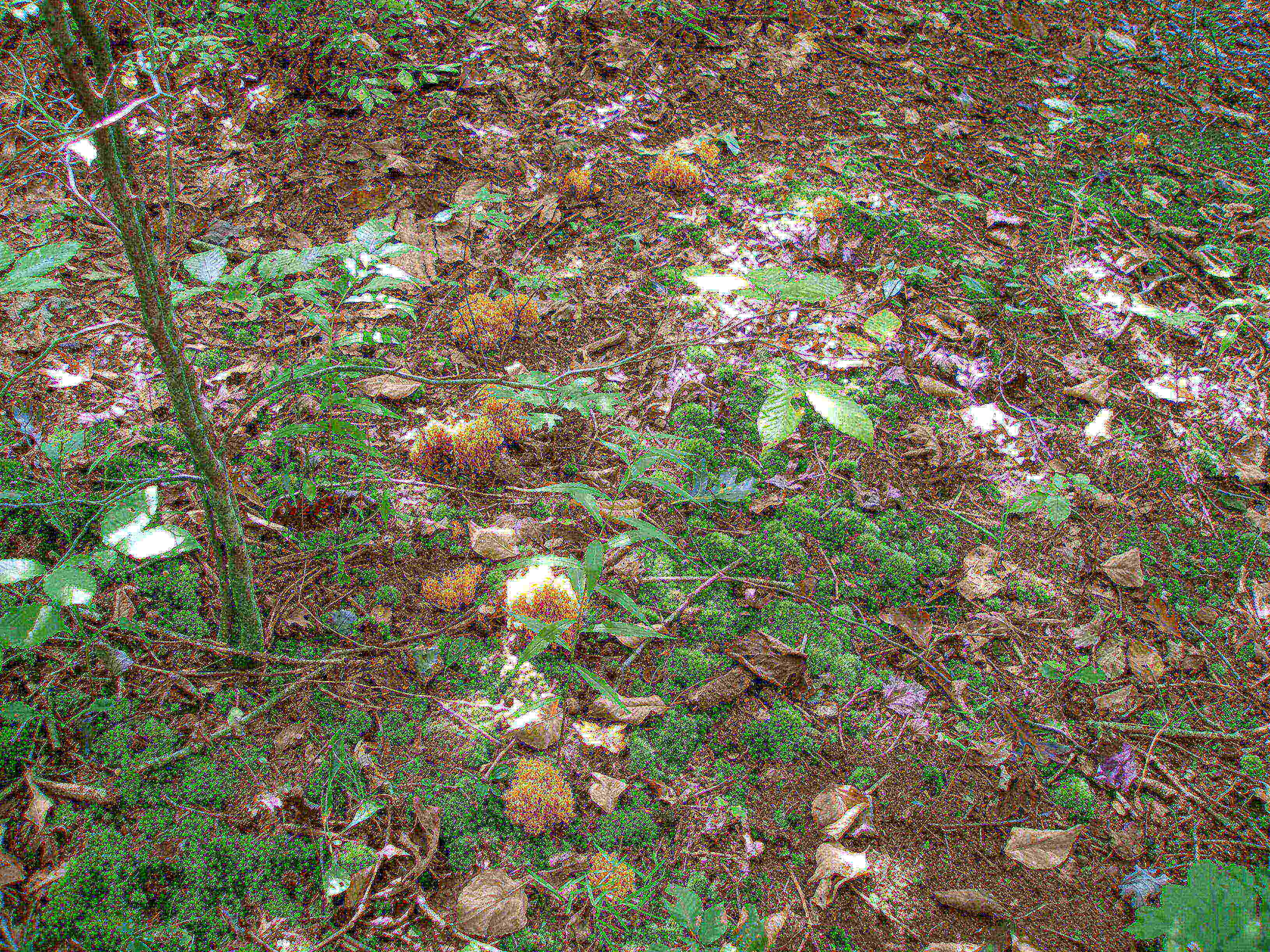 P9244894.JPG