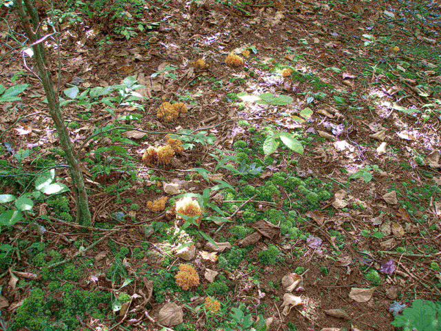 P9244894.JPG