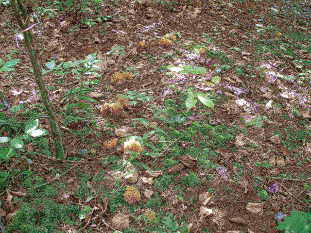 P9244894.JPG