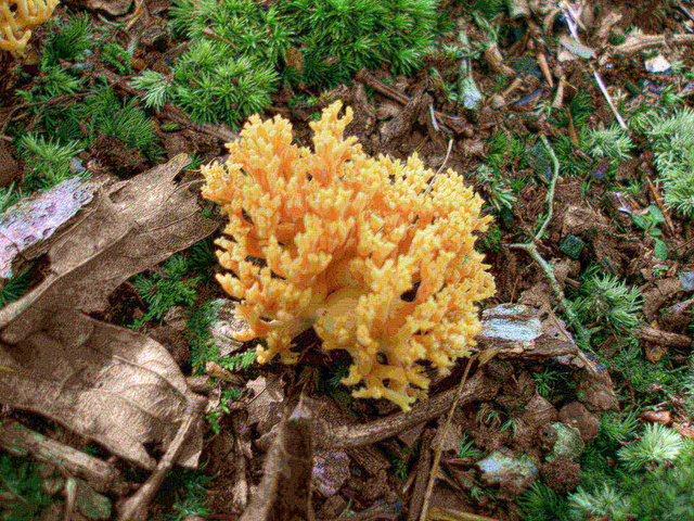 P9244893.JPG