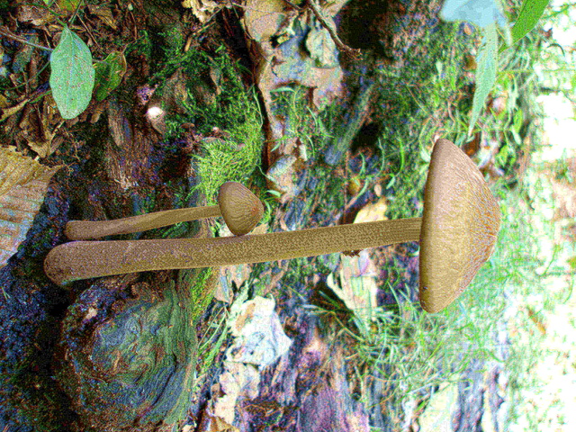 P9244890.JPG