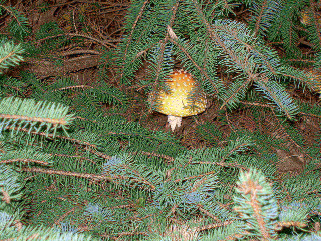 P9254965.JPG