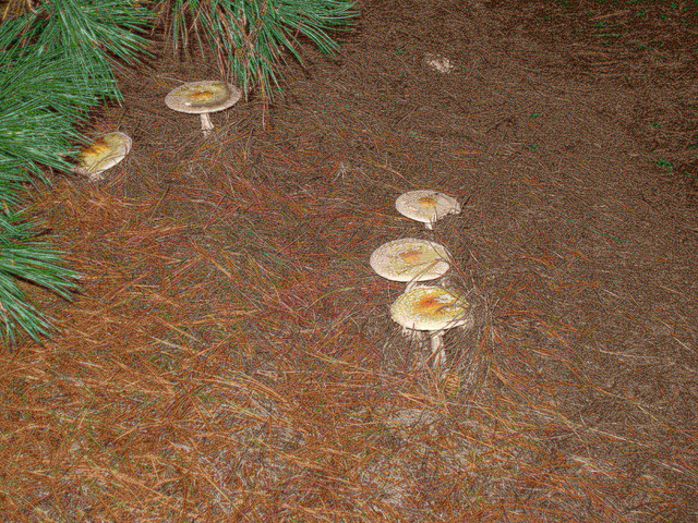P9254960.JPG