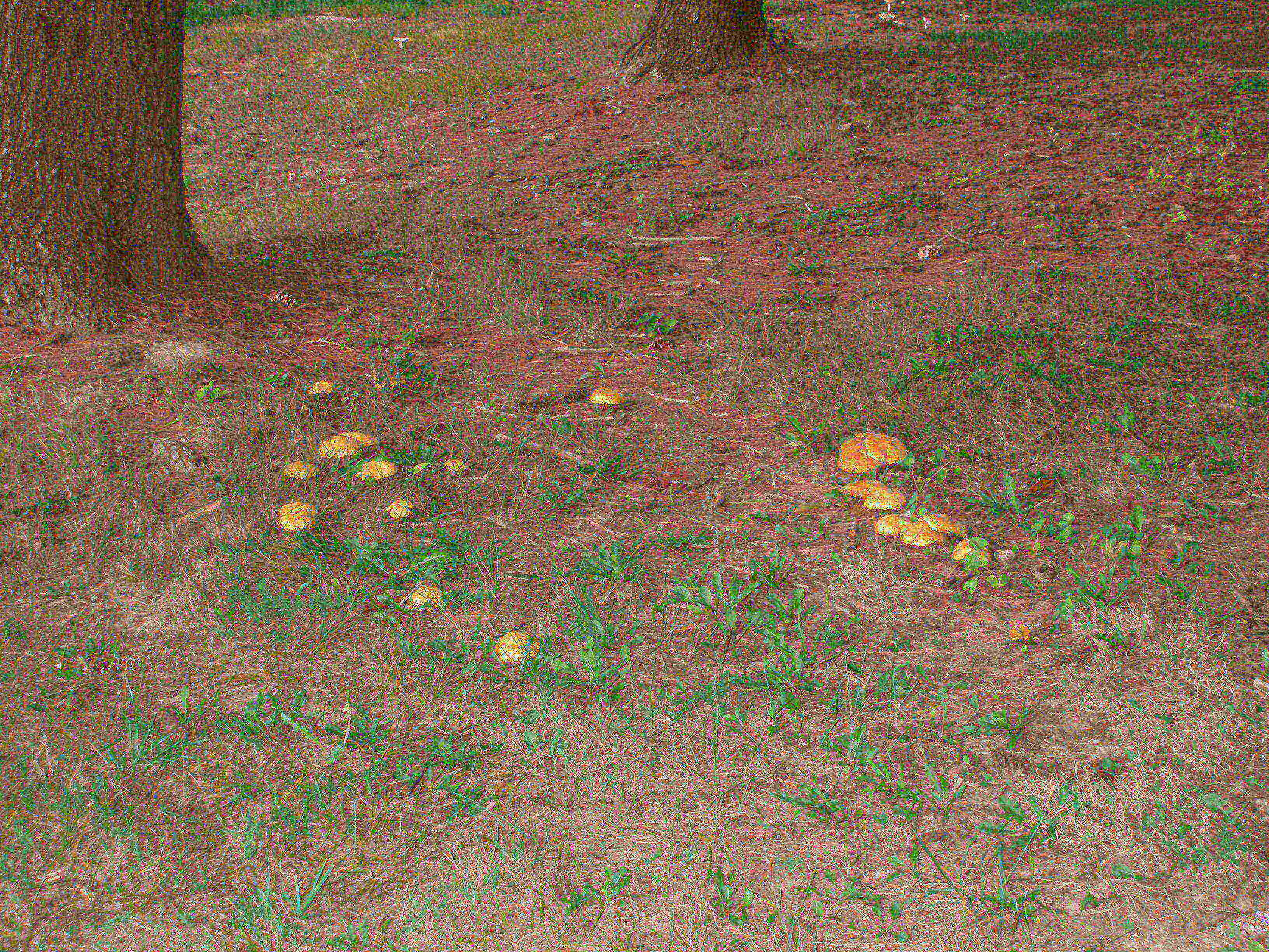 P9254959.JPG