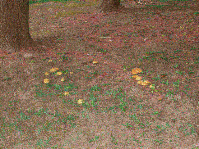 P9254959.JPG