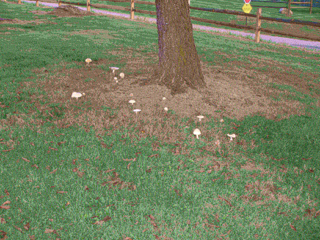 P9254955.JPG