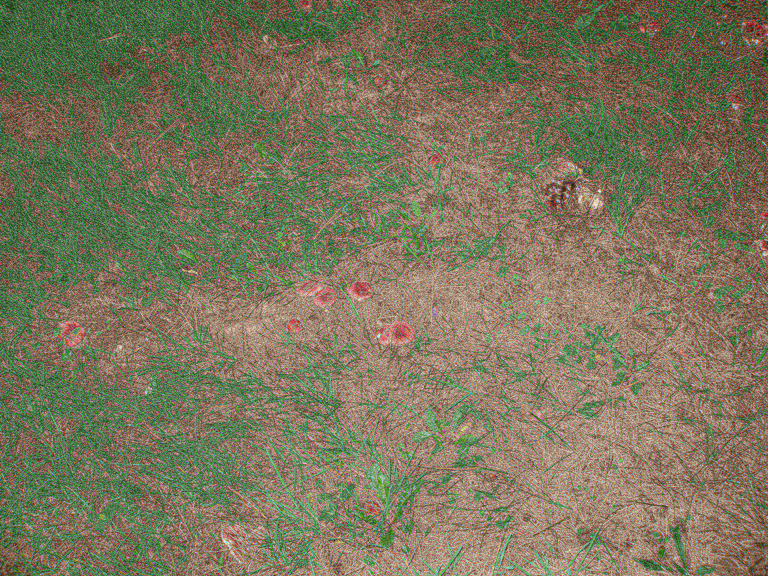 P9254954.JPG