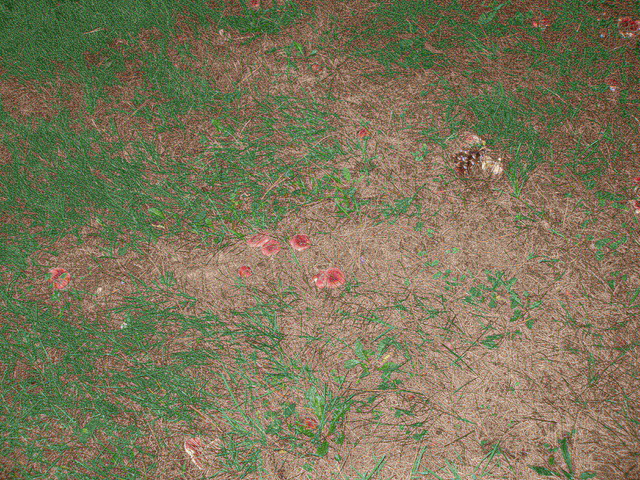 P9254954.JPG
