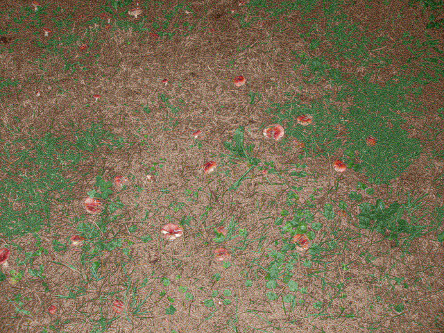 P9254953.JPG