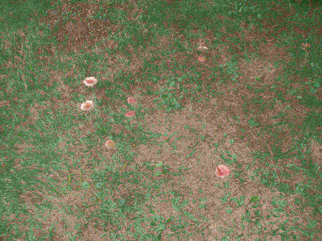 P9254952.JPG