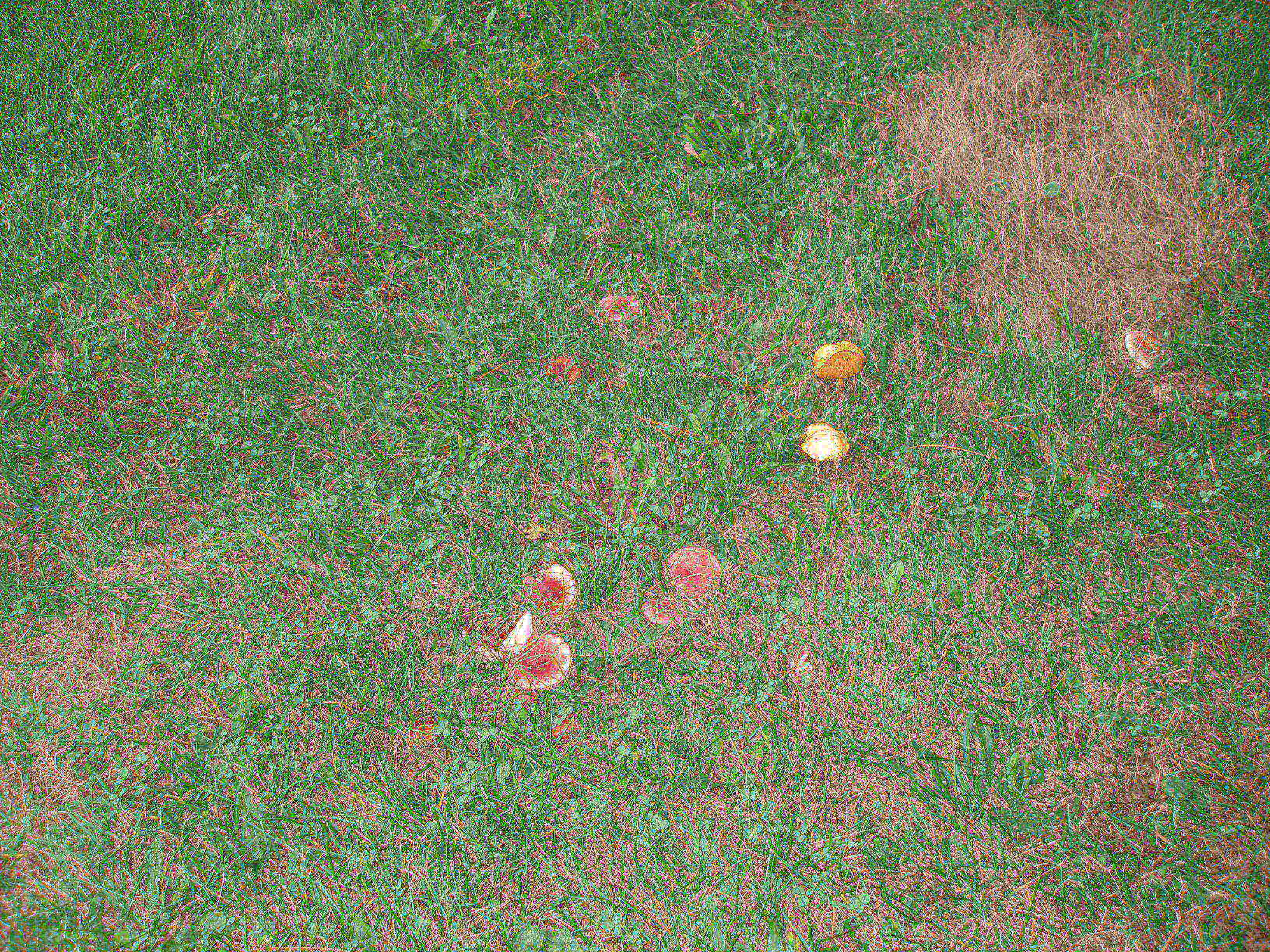P9254951.JPG