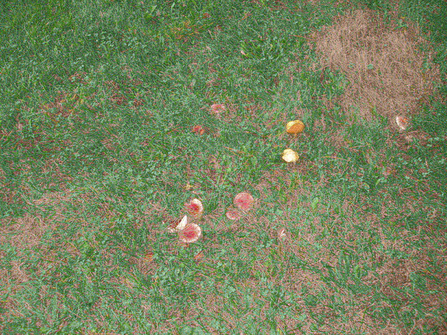 P9254951.JPG