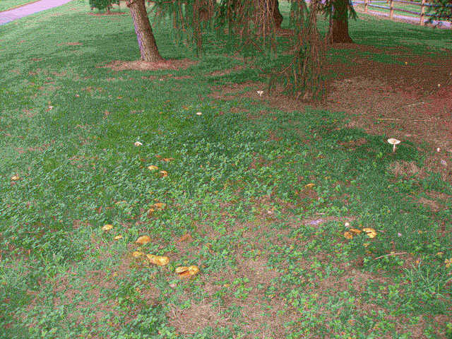 P9254950.JPG