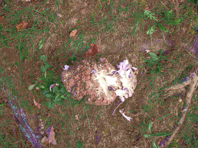 P9254949.JPG