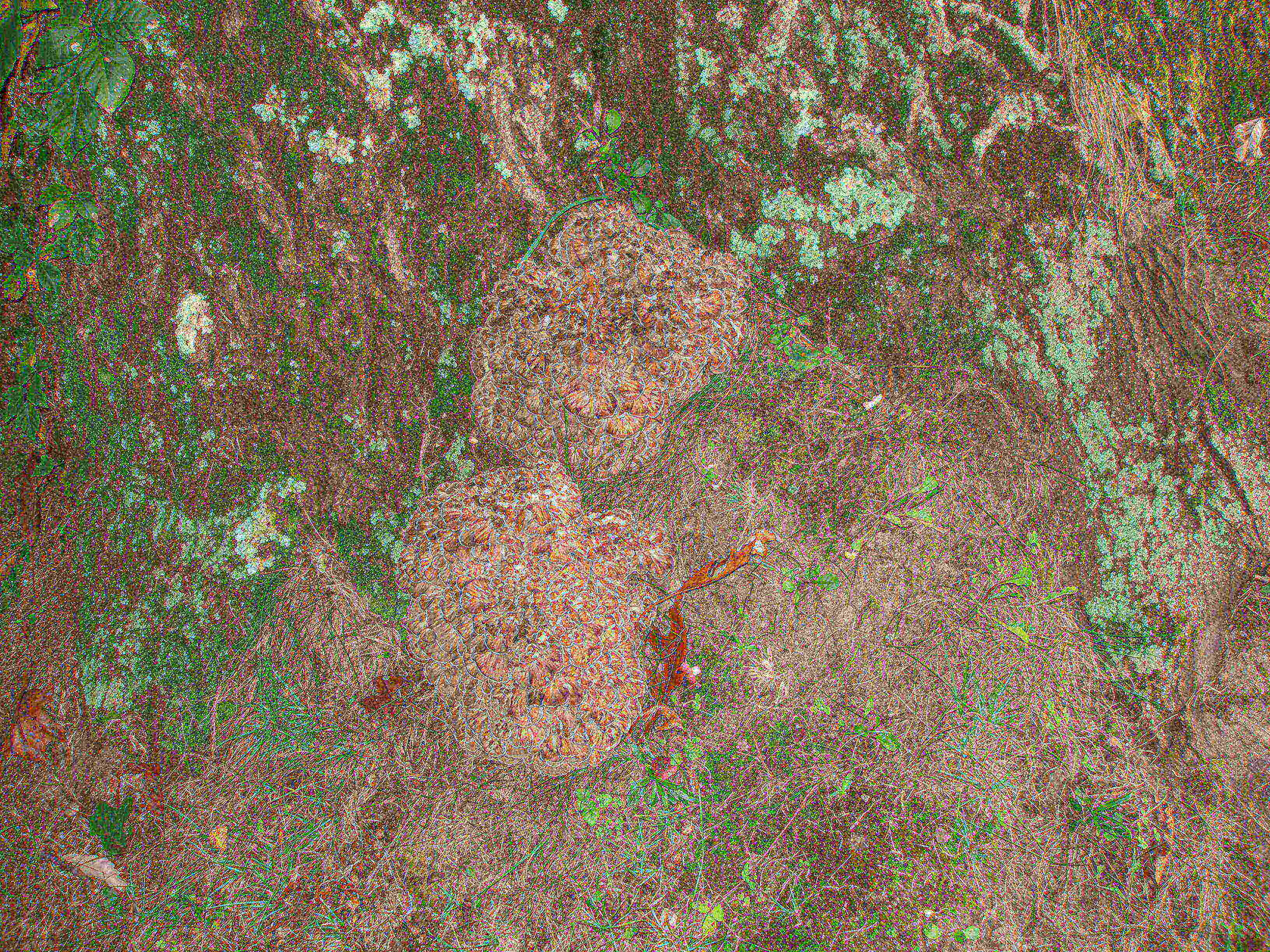 P9254948.JPG