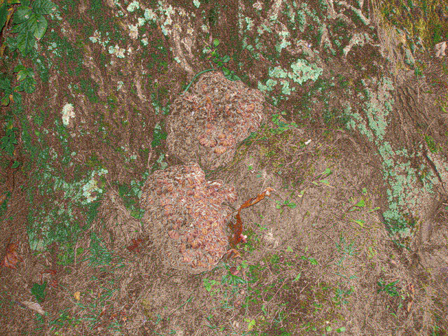 P9254948.JPG