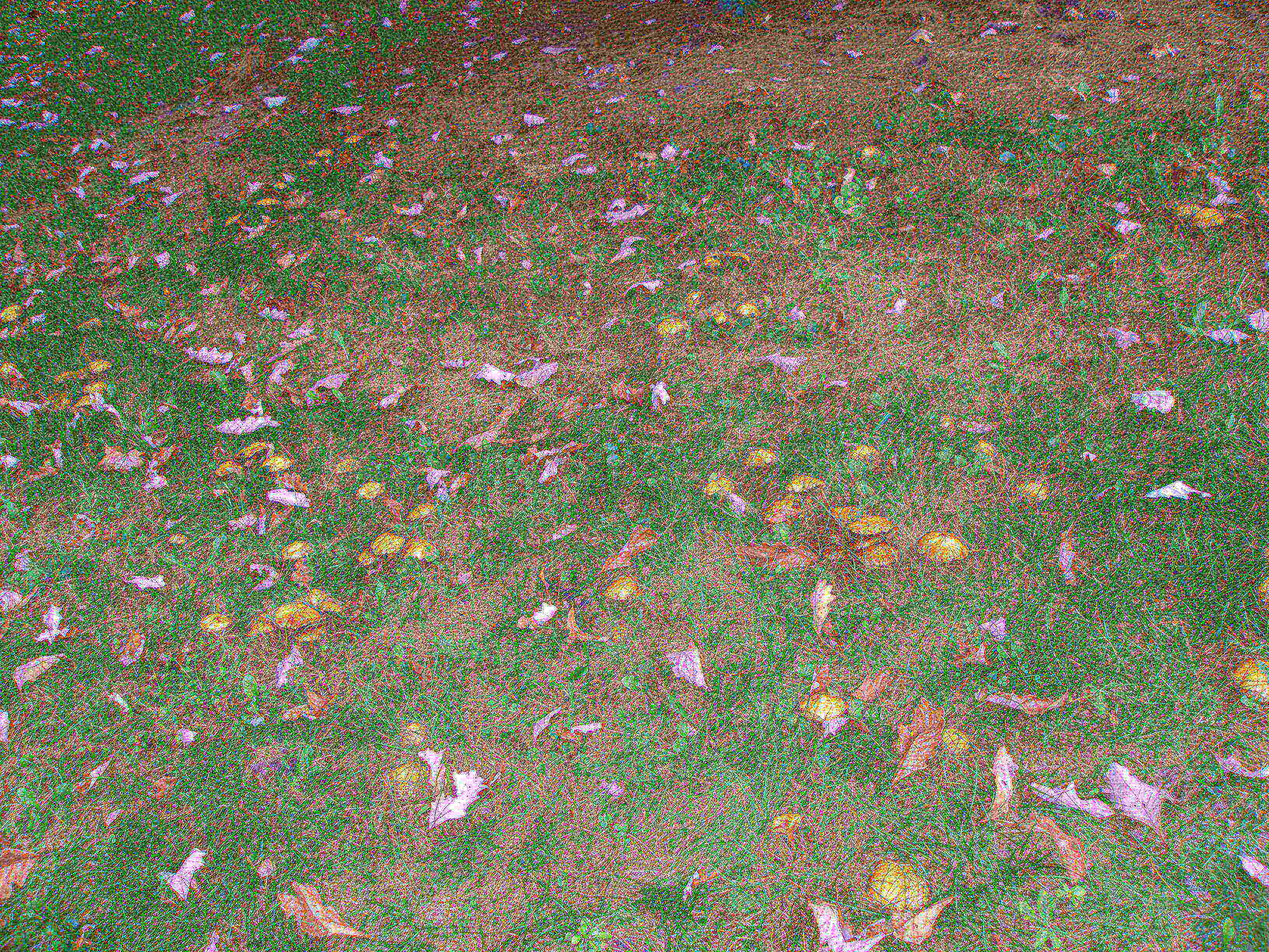 P9254947.JPG