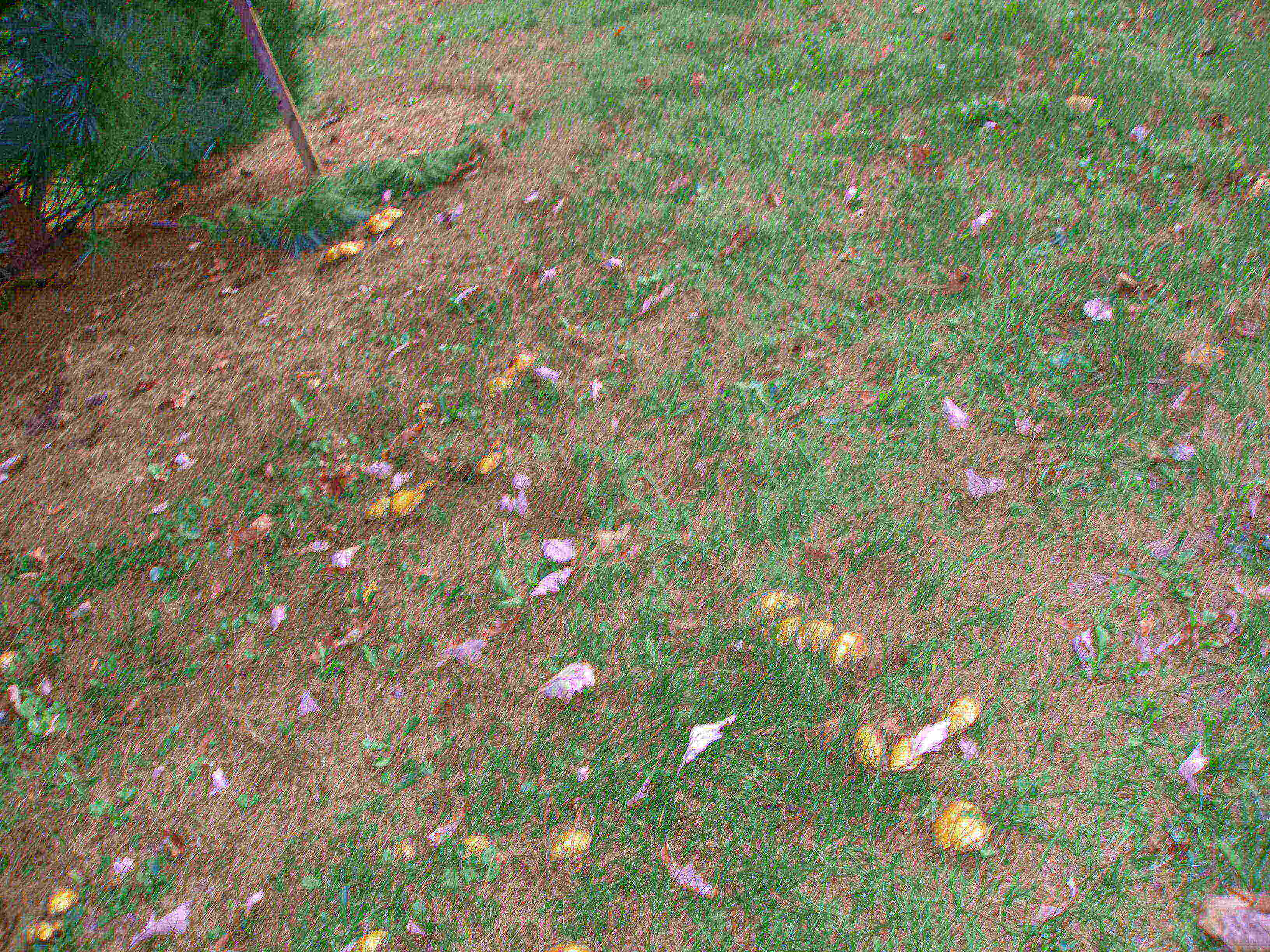 P9254946.JPG