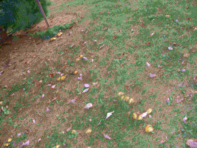P9254946.JPG