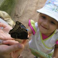 P7262222