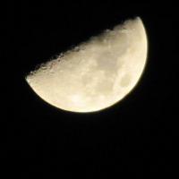 IMG_5719
